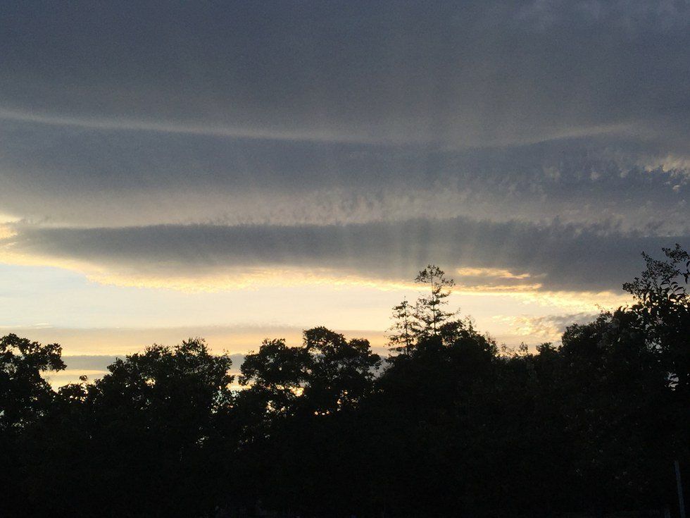 A Beginners Guide To Partying