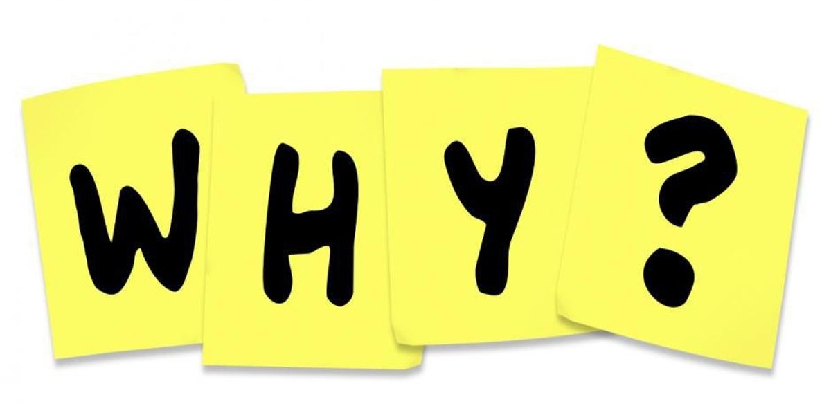 Beauty Pageants vs Bodybuilding | The Odyssey Online