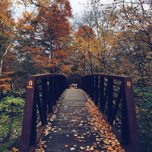 16 Reasons Fall is Freaking Fantastic