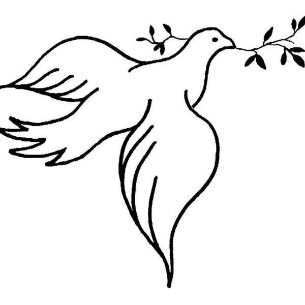 Extending the Olive Branch