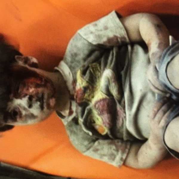 The Child Seen 'Round The World