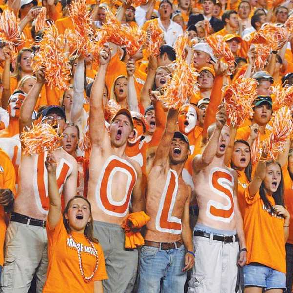 What Kind Of Football Fan Are You?