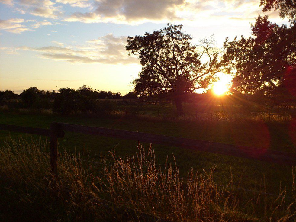 Growing Up In A Small Town