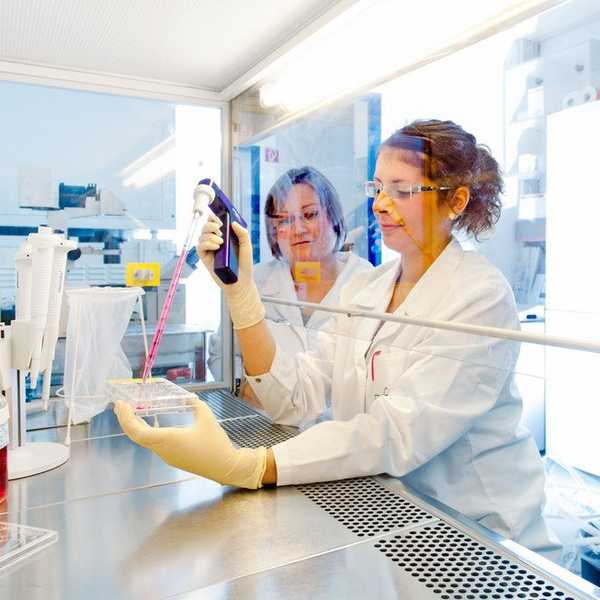 11 Reasons Why You Should Do an REU