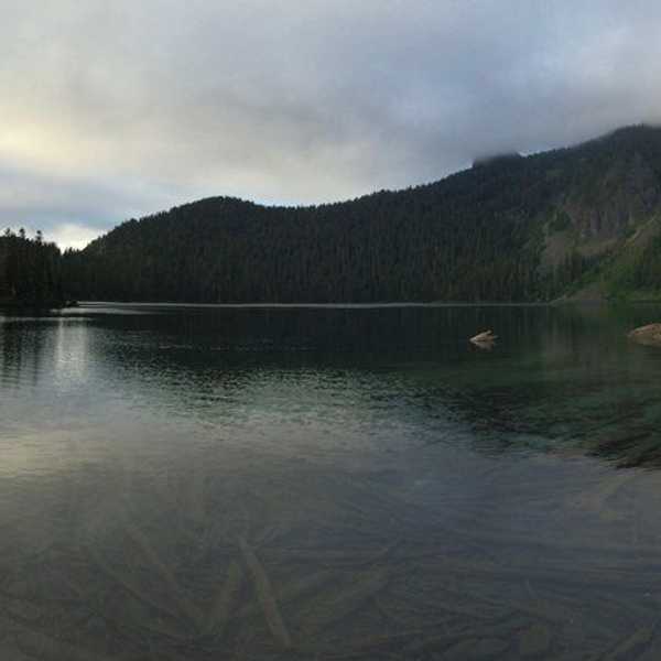 You Know You Are A Washingtonian When