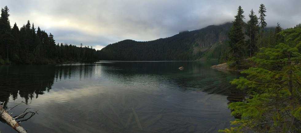 You Know You Are A Washingtonian When