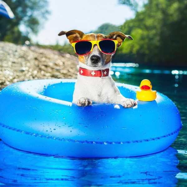 How to Save Summer