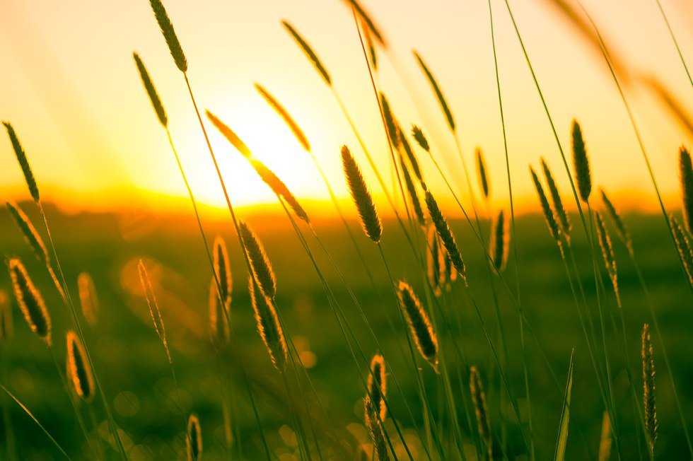 10 Things I'll Miss About Home