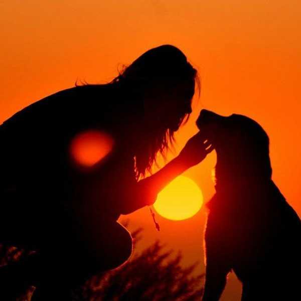 An Open Letter To My Dog Before I Leave For College