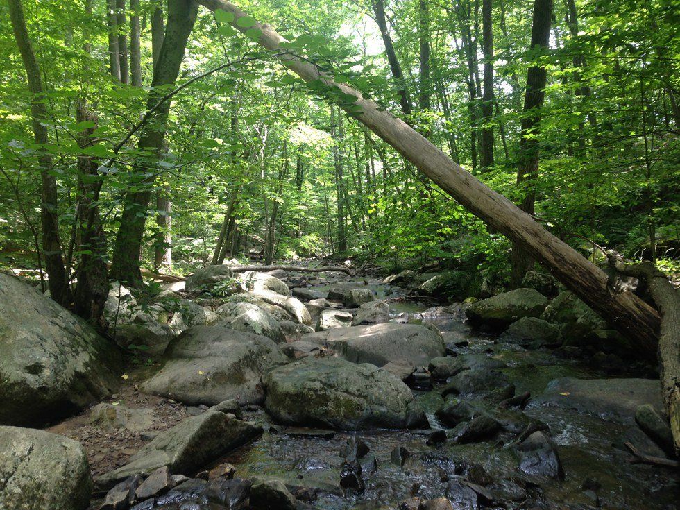 A Goodnight To My Home