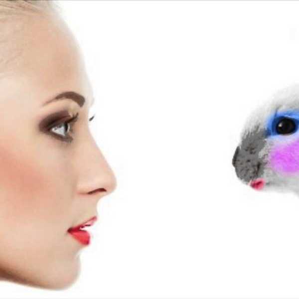 40 Cruelty-Free Makeup Brands, From Affordable to High End
