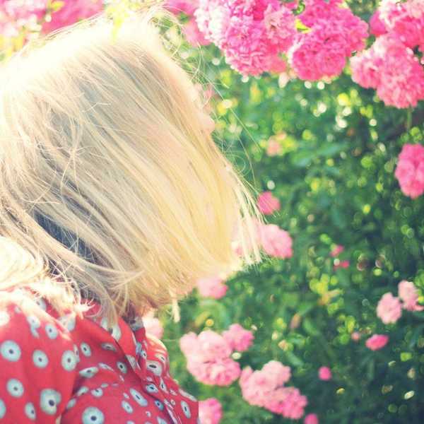 Life's a Garden- I Dig It: 11 Lessons Learned