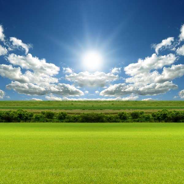 Your Life Is Only As Good As Your Mindset.