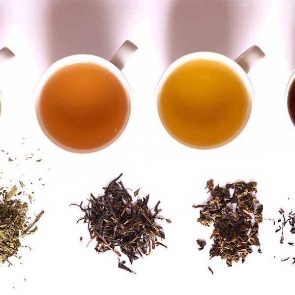 Tea: Everything You Should Know About Coffee's Softer, Younger Sister