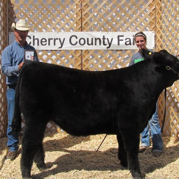 Just A Little 4-H Project