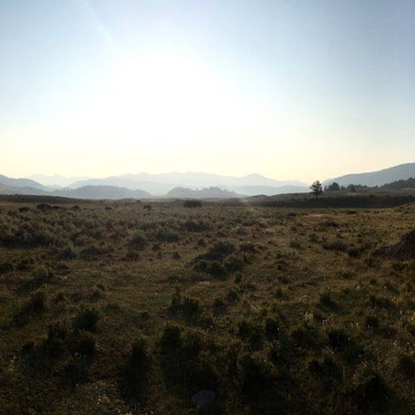 5 Reasons to Visit Yellowstone National Park