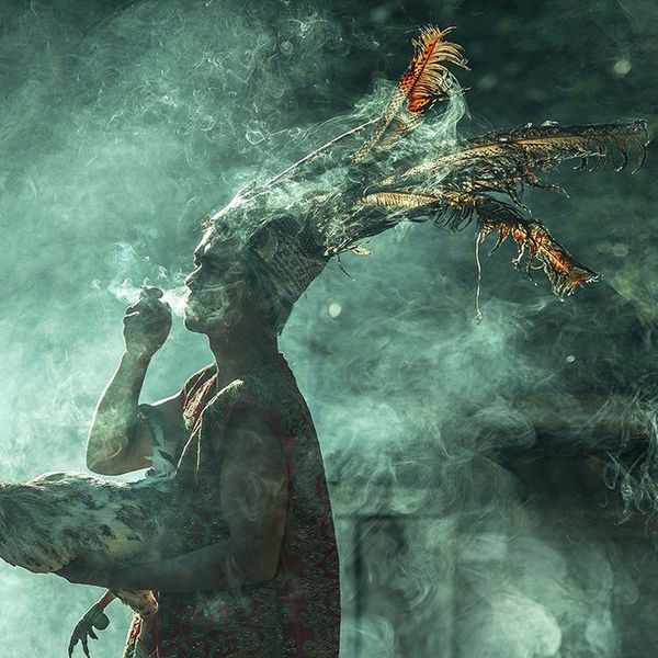 The Limited Democracy