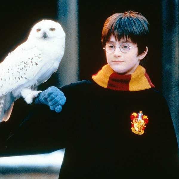 Life Lessons I Learned From Harry Potter