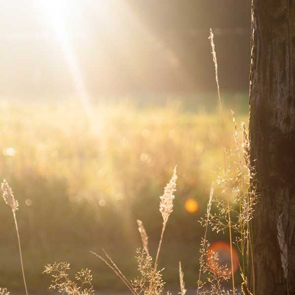 14 End-of-Summer Realizations