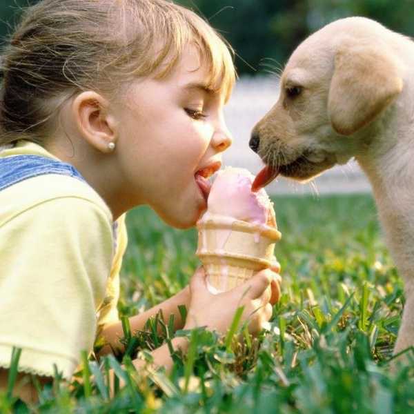 An Open Letter To My Four-Legged Child