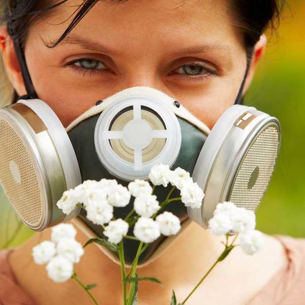 The Curse Of Allergies