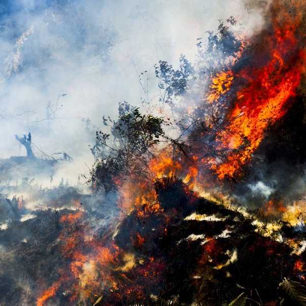 You Use This Product Everyday, And It's Killing The Planet.