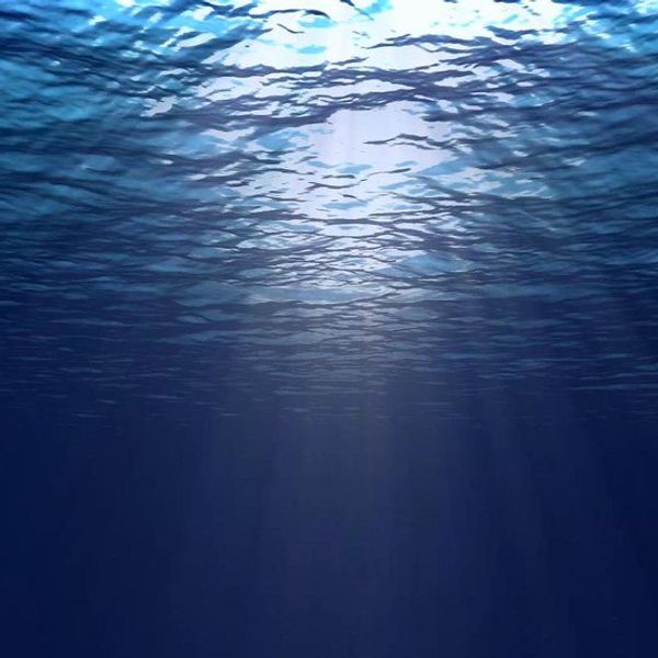 12 Stories From College Students With Mental Illness