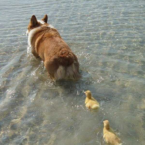 A Letter From The Friend Who Takes Care Of Everyone