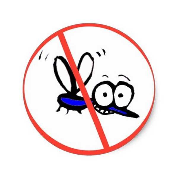 Just Another Informational Article About Zika