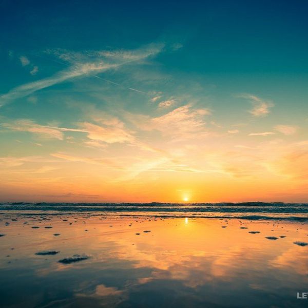 Dear World, What Is Happening?