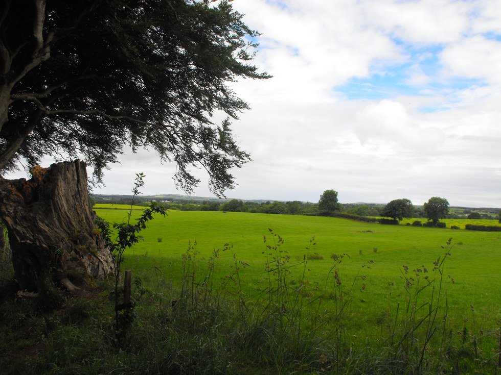 Stubborn To Spite Myself