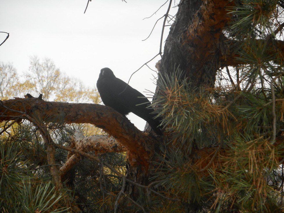 Religion Is Not An Excuse