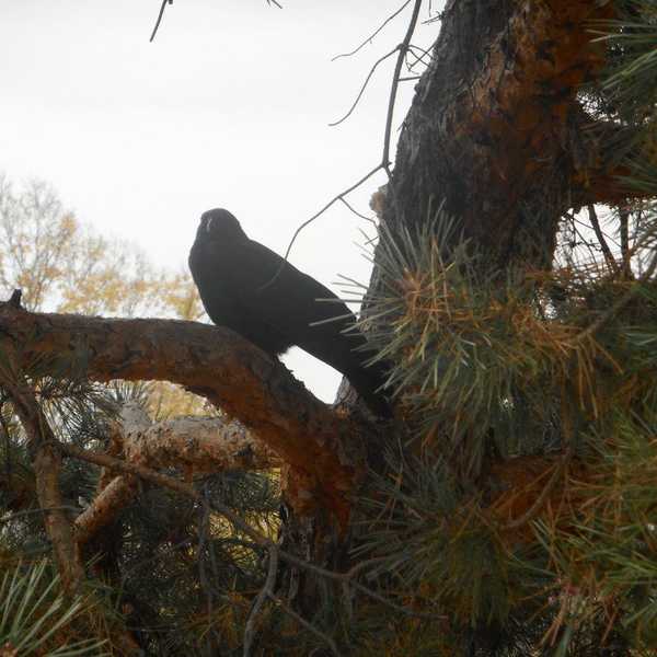 Religion Is Not An Excuse