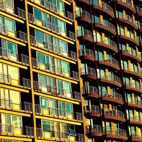 13 Must-Have Apartment Essentials