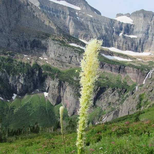 An Open Letter To People Who Still Think Climate Change Isn't Real