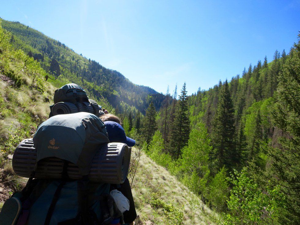 Expand Your Horizons