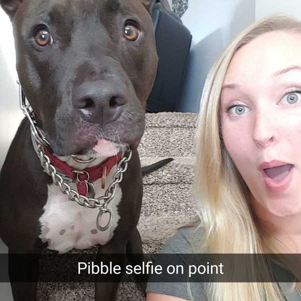 What Pit Bull Owners Know