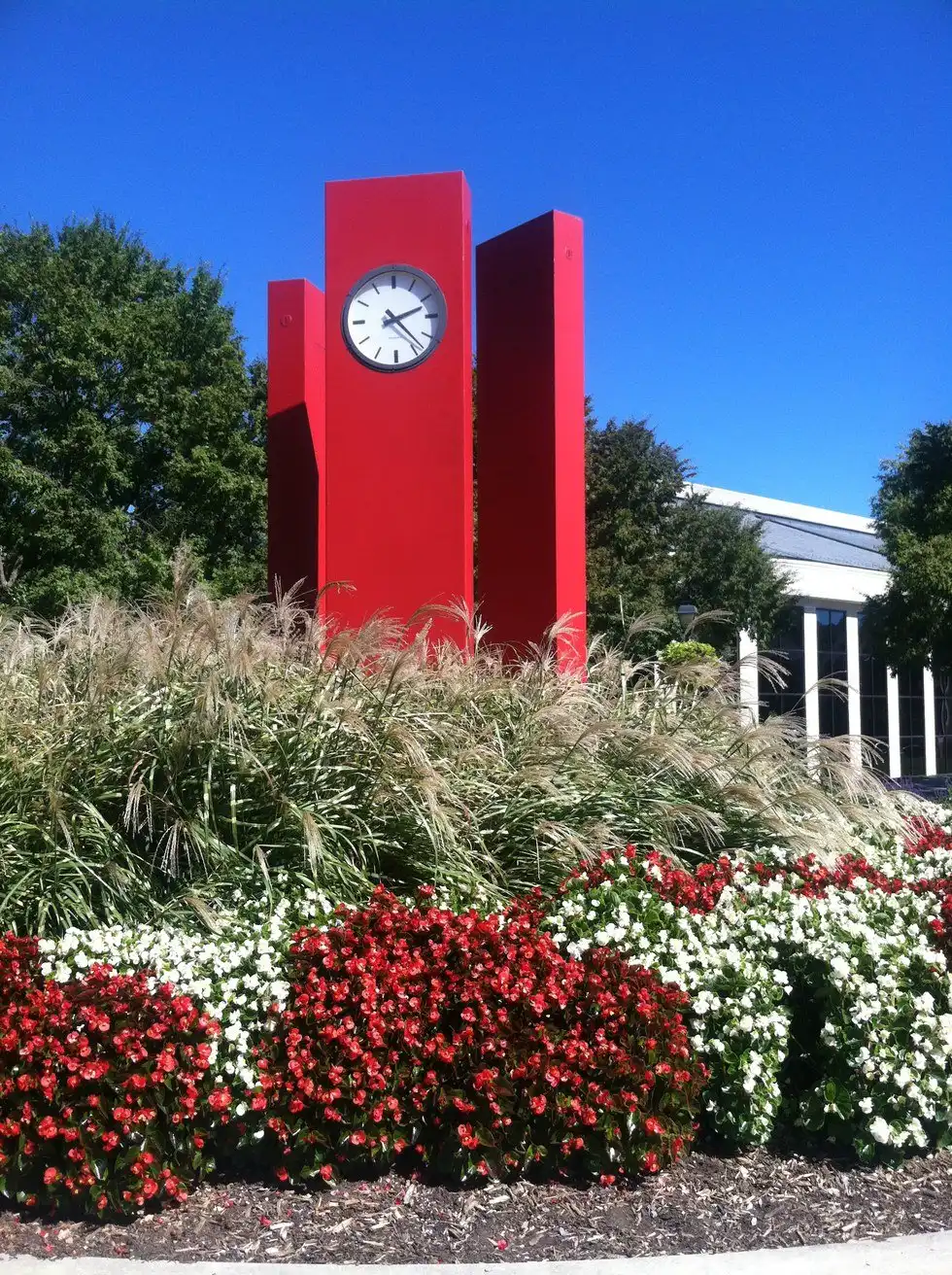 5 Back-To-School Study Tips