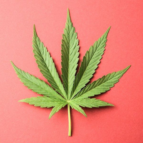 My Personal War On Marijuana