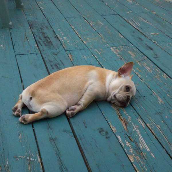 14 Things Chronically Tired People Say