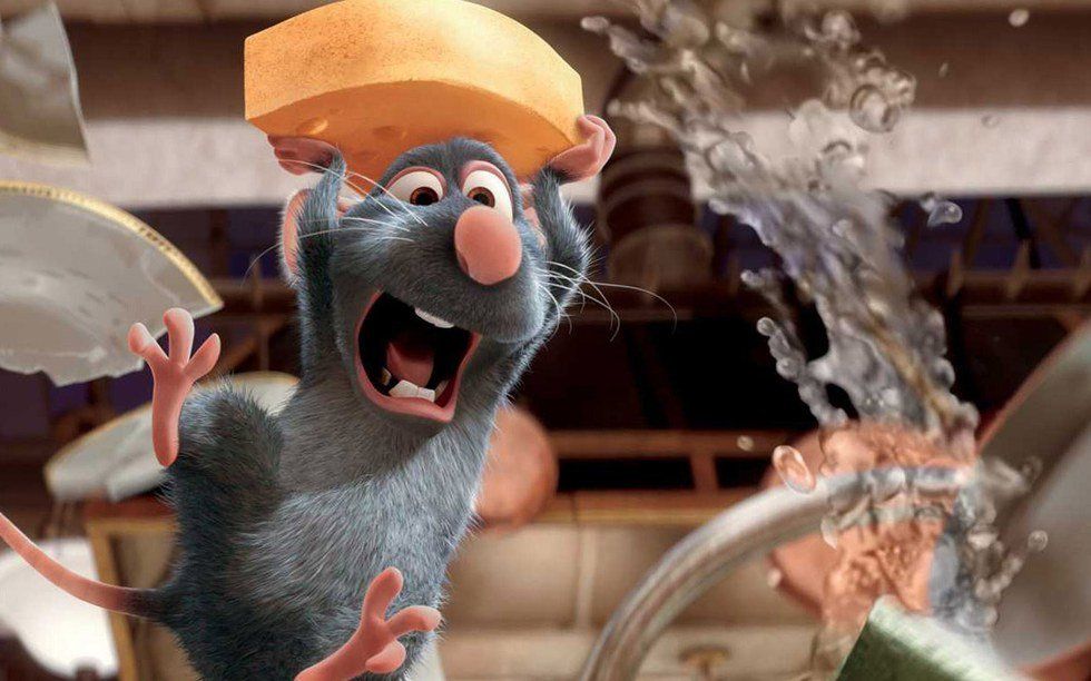 22 Struggles Of A Culinary Major