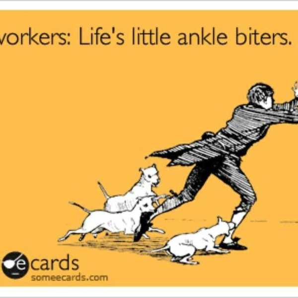 6 Different Types Of Coworkers You'll Meet