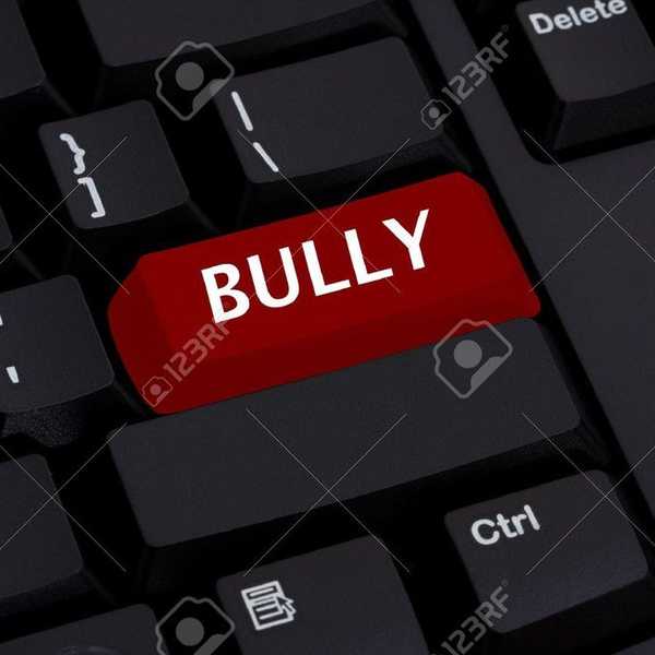 Cyber Bullying: From The Victim's Point Of View