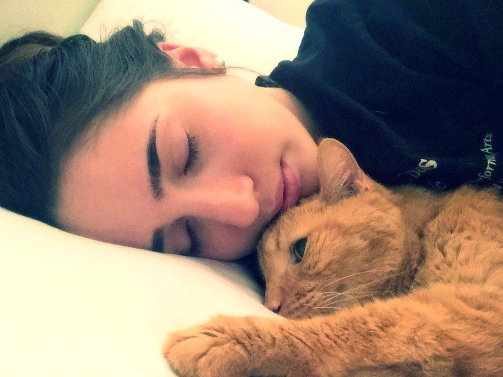 A Dedication To My Cats