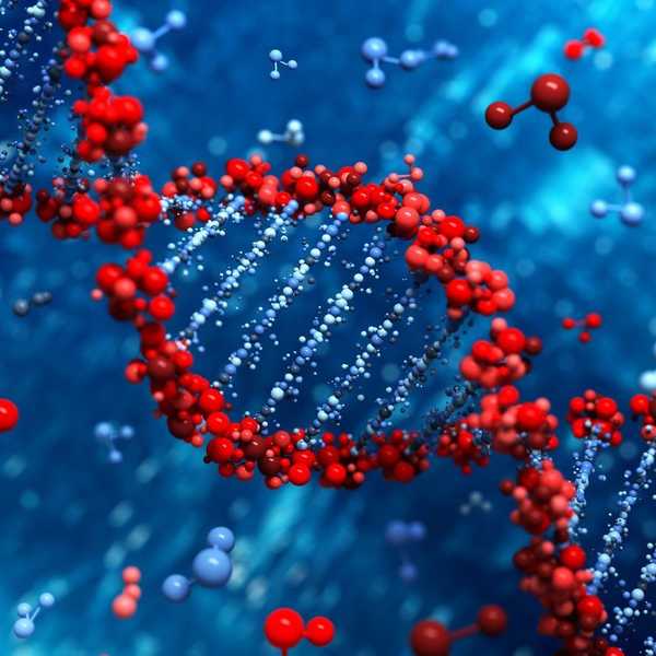 Modifications To Our Genes