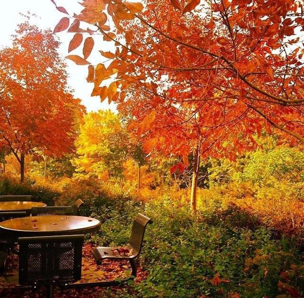 5 Things Incoming Freshman Should Know