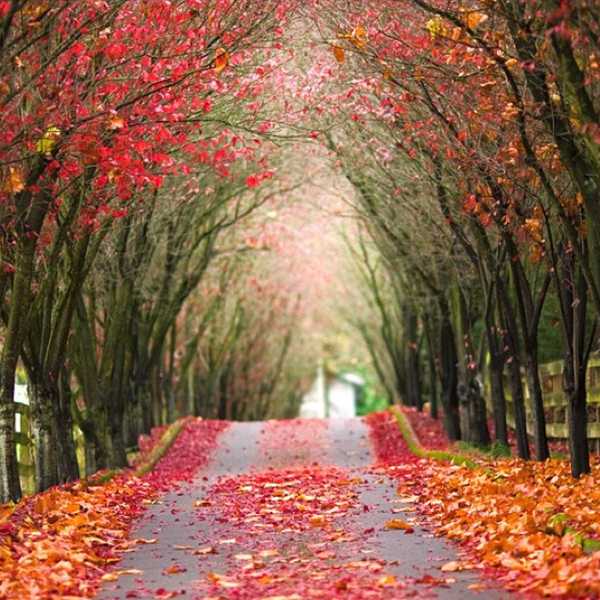 10 Reasons Why Autumn Is The Best