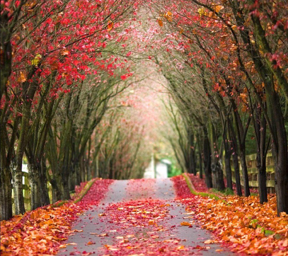 10 Reasons Why Autumn Is The Best