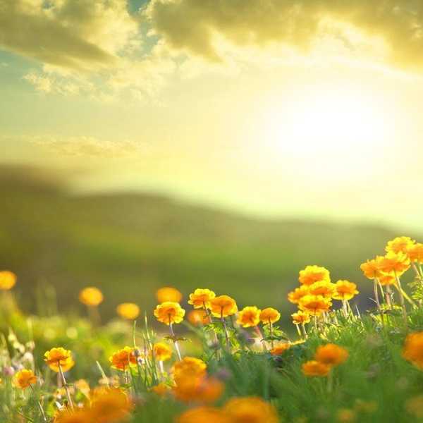 The Beauty Of Becoming A Morning Person