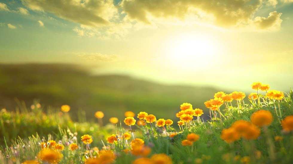 The Beauty Of Becoming A Morning Person